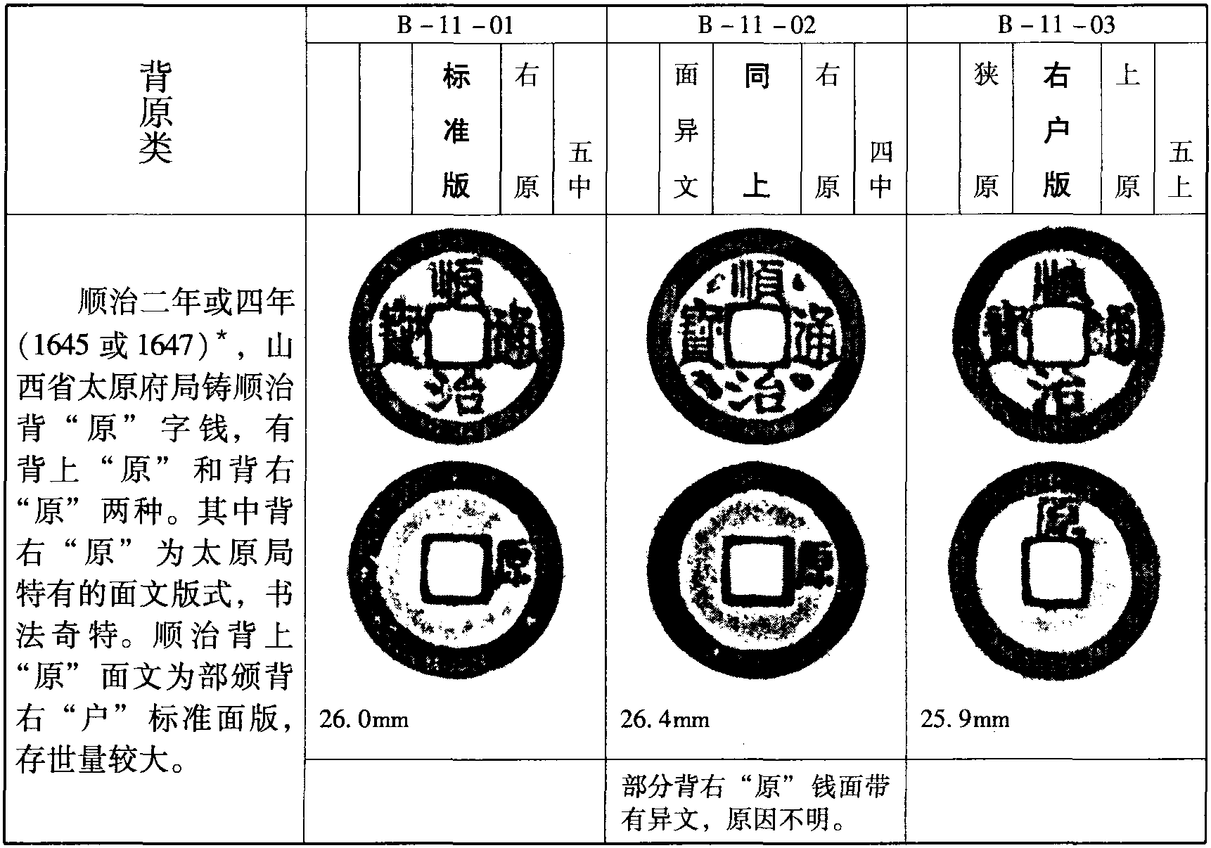 背“原”類(B-11)